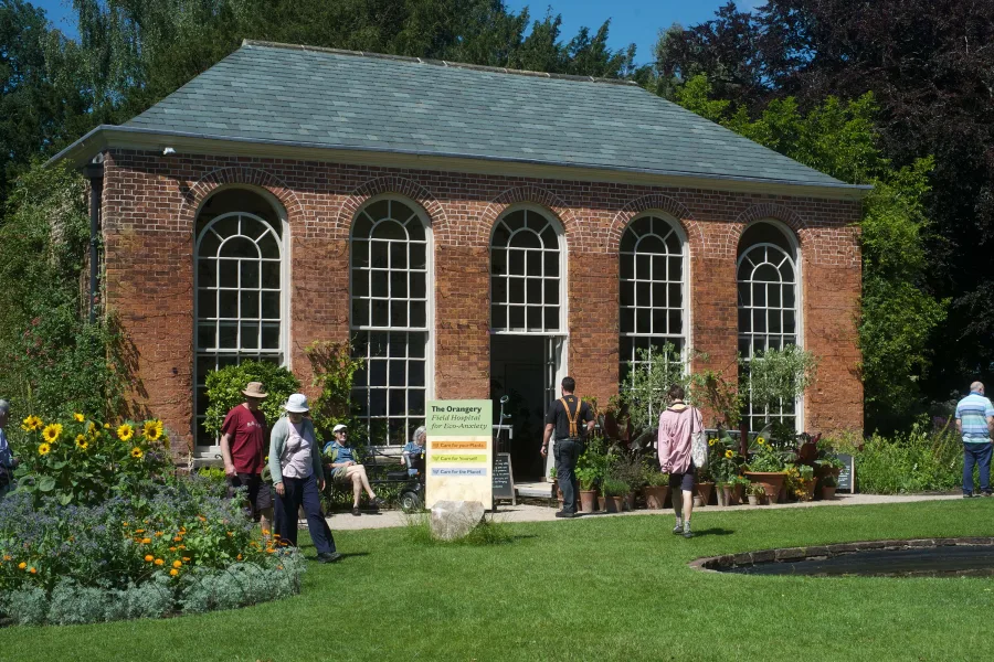 Field Hospital for Eco-Anxiety